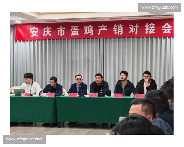 商业赞助助力企业品牌提升与市场拓展新策略探讨